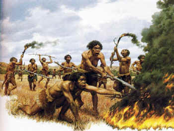 Homo erectus learns how to use fire