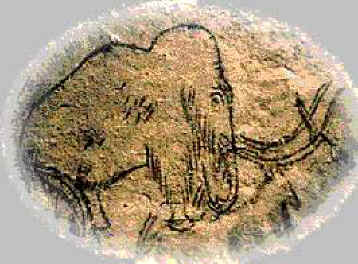Mammoth drawed on the Cave wall